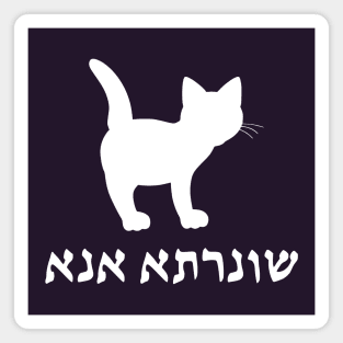 I'm A Cat (Aramaic, Feminine) Magnet